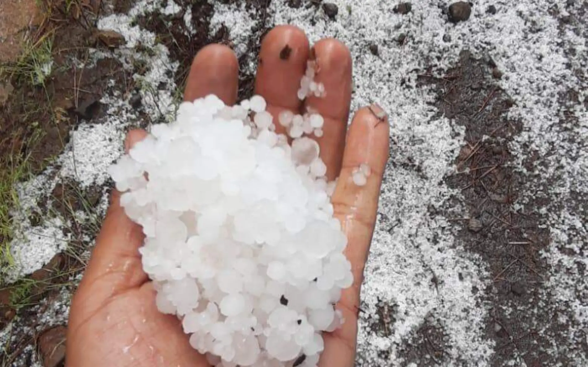 granizo en madera